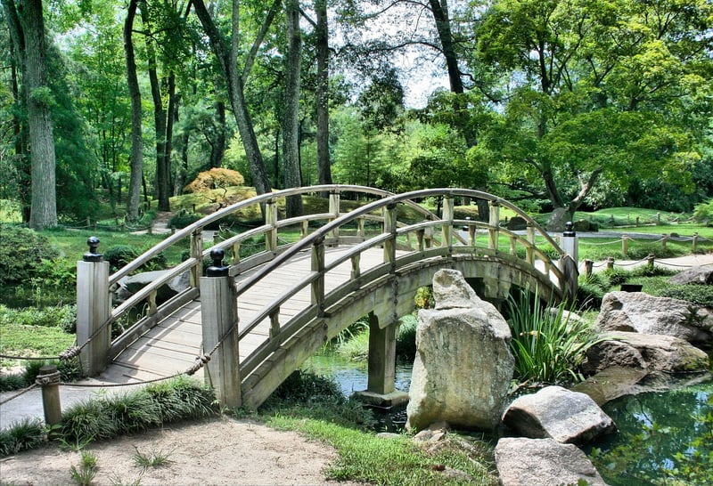 Fairytale Garden